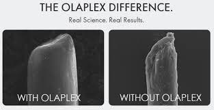 Olaplex No.4 Bond Maintenance Shampoo 250 ml/Net 8.5 fl oz - shop.rawhair