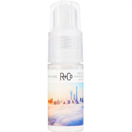R+Co Skyline Dry Shampoo Powder 28g - shop.rawhair