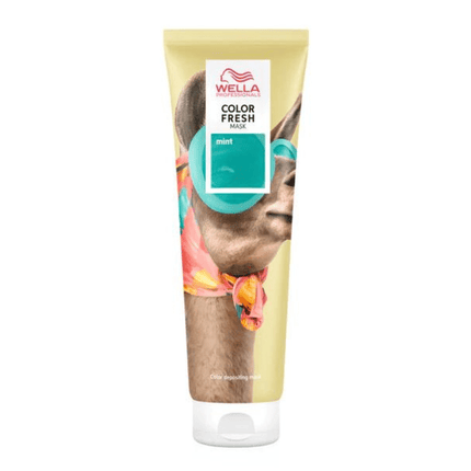 Wella Color Fresh Mask 150ml *choose color - shop.rawhair